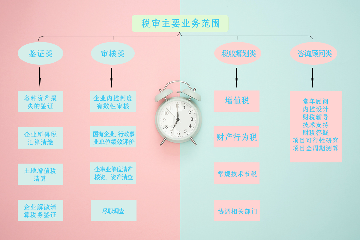 稅審主要業務范圍.jpg