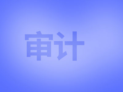 武漢財(cái)務(wù)審計(jì)