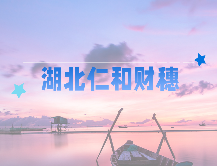仁和財穗封面.jpg